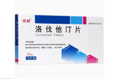 人力资源论文求职策略（实用18篇）